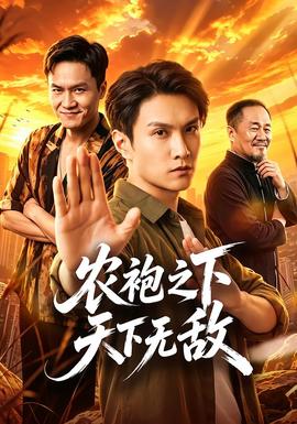 农袍之下天下无敌封面